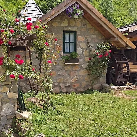 Rafting Camp Tara Center Tri Vodenice Prázdninový areál