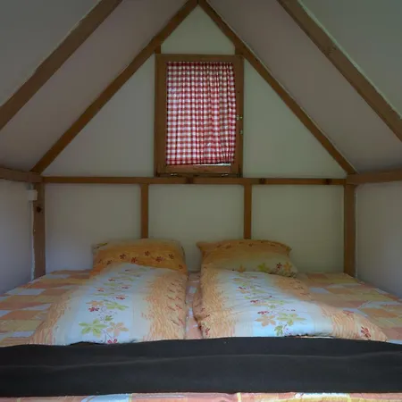 Rafting Camp Tara Center Tri Vodenice