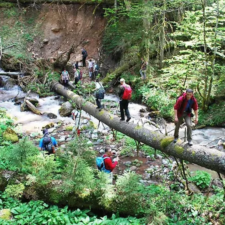Rafting Camp Tara Center Tri Vodenice