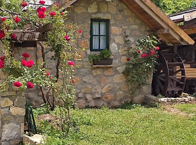 Rafting Camp Tara Center Tri Vodenice Parque de vacaciones